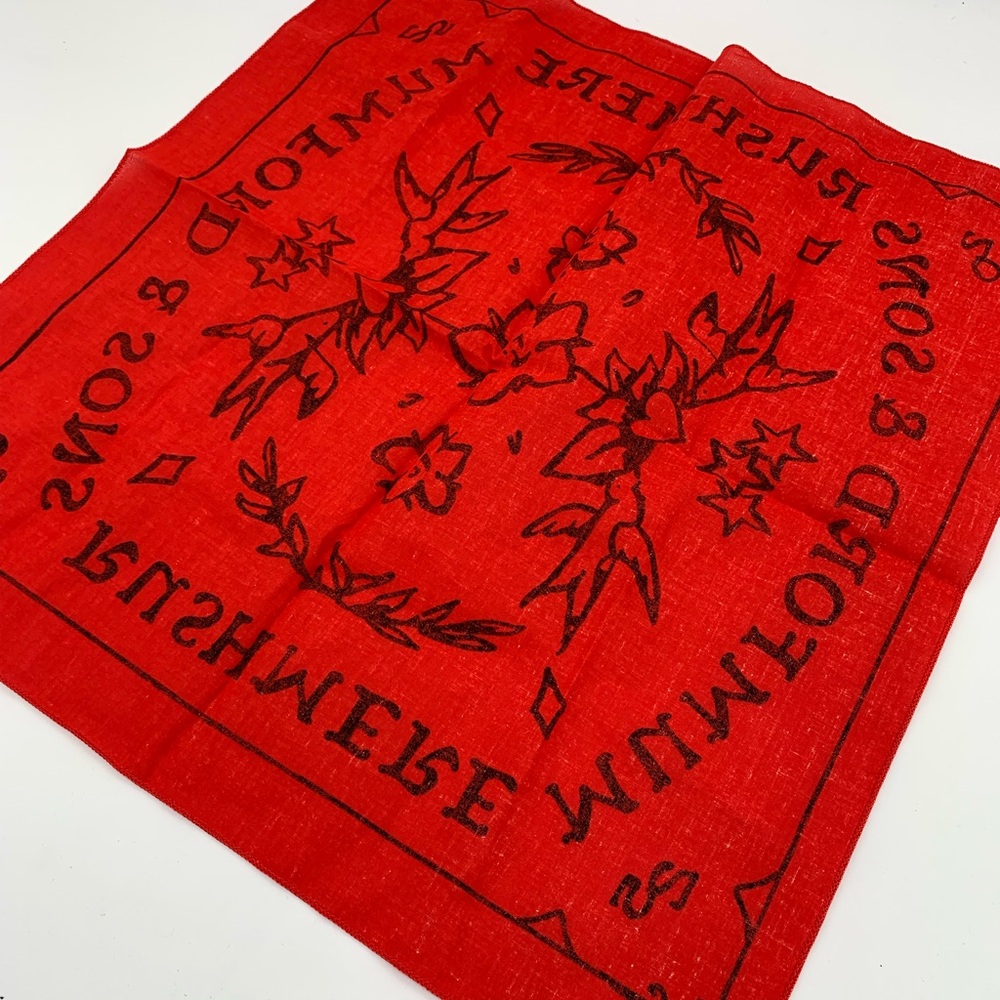 Mumford & Sons Rushmere 2025 concert bandana - Picture 2 of 2